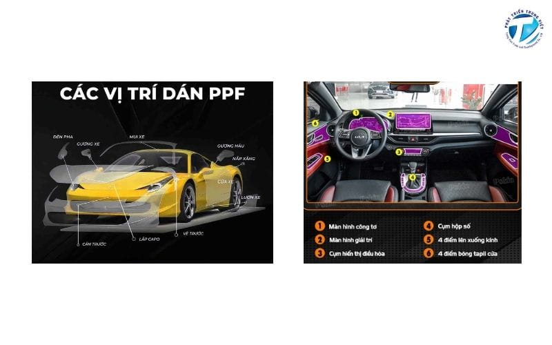 Các vị trí thường dán PPF ô tô